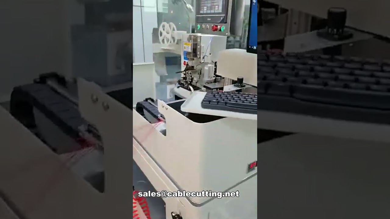 WPM-DPW12: Otomatik Çoklu Kablo Fiş Kovanı Montaj Makinesi
