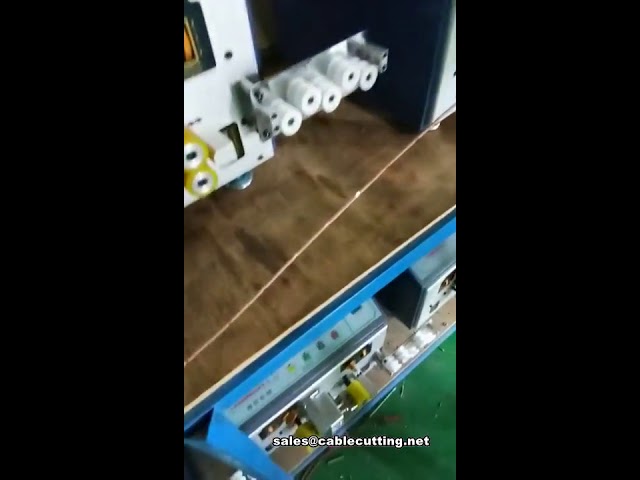 Otomatik 12 Bölümlü Orta Sıyırma Makinesi | Yüksek Hızlı Tel Sıyırma Çözümü