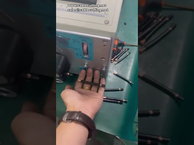 10SQMM Otomatik Tel Kesme ve Sıyırma Makinesi - Yüksek Hassasiyetli