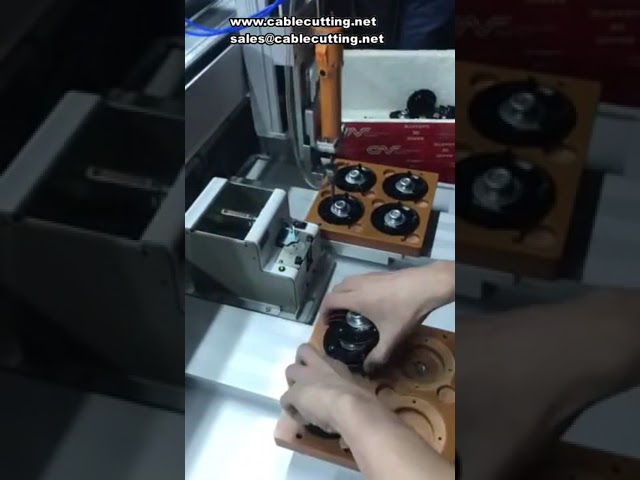 5331 Robotlu Çift Y Platformlu Otomatik Vida Sıkma Makinesi - Hızlı ve Verimli Vidalama