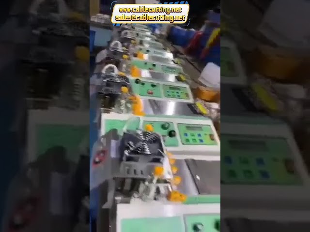 Mikroişlemci Kontrollü Sıcak ve Soğuk Bıçaklı Bant Kesme Makinesi 110V/220V 400W