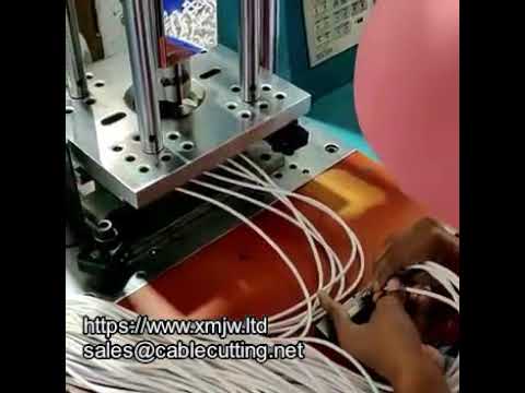WPM 150 Standart Enjeksiyon Makinesi | Güvenilir ve Yüksek Performans