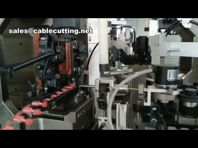 Ücretsiz Numune: Sürekli Mavi 250 Erkek Terminal – Nylon Tam İzolasyonlu