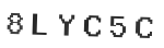 Verification Code Image
